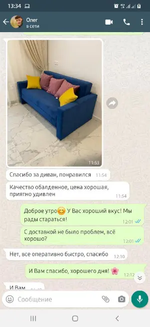 Скриншот отзыва №2 Скриншот реального отзыва RU-divan.RU №2