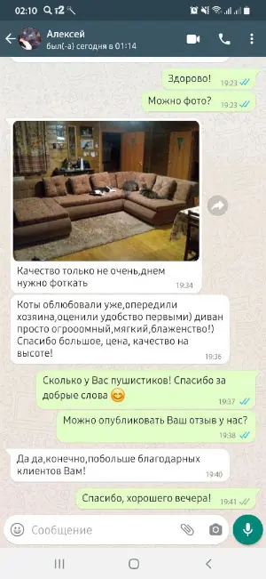 Скриншот отзыва №8 Скриншот реального отзыва RU-divan.RU №8
